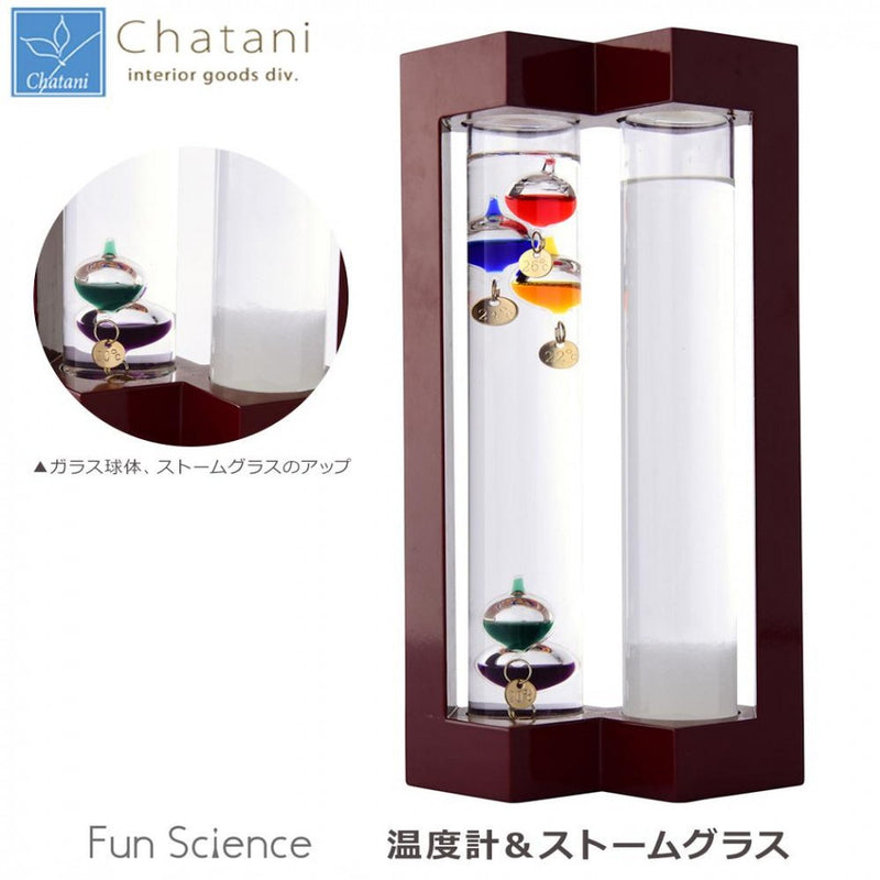 温度計＆ストームグラス 333-273 メーカー直送 ▼返品キャンセル不可【他商品との同時購入不可】