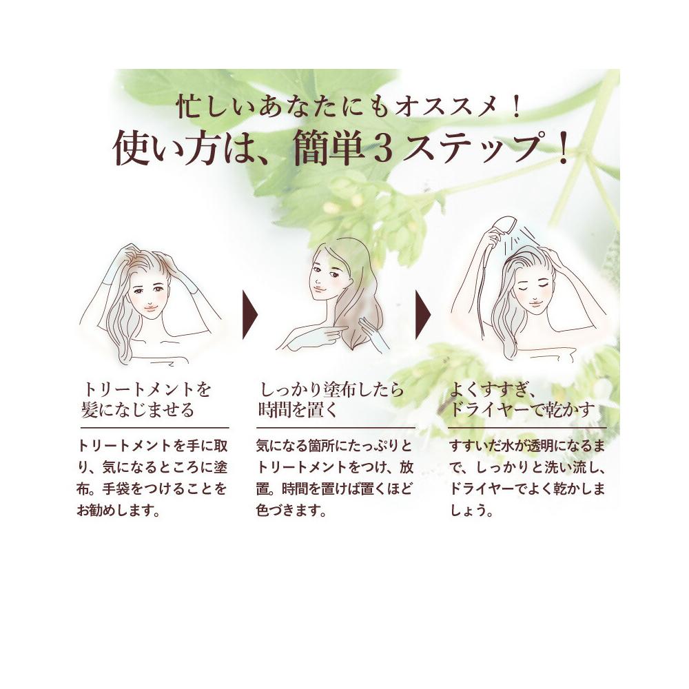 フラガール ヘアトリートメント ナチュラルブラウン 楽天市場】白髪染め フラガール [ ナチュラル ブラウン ] カラー