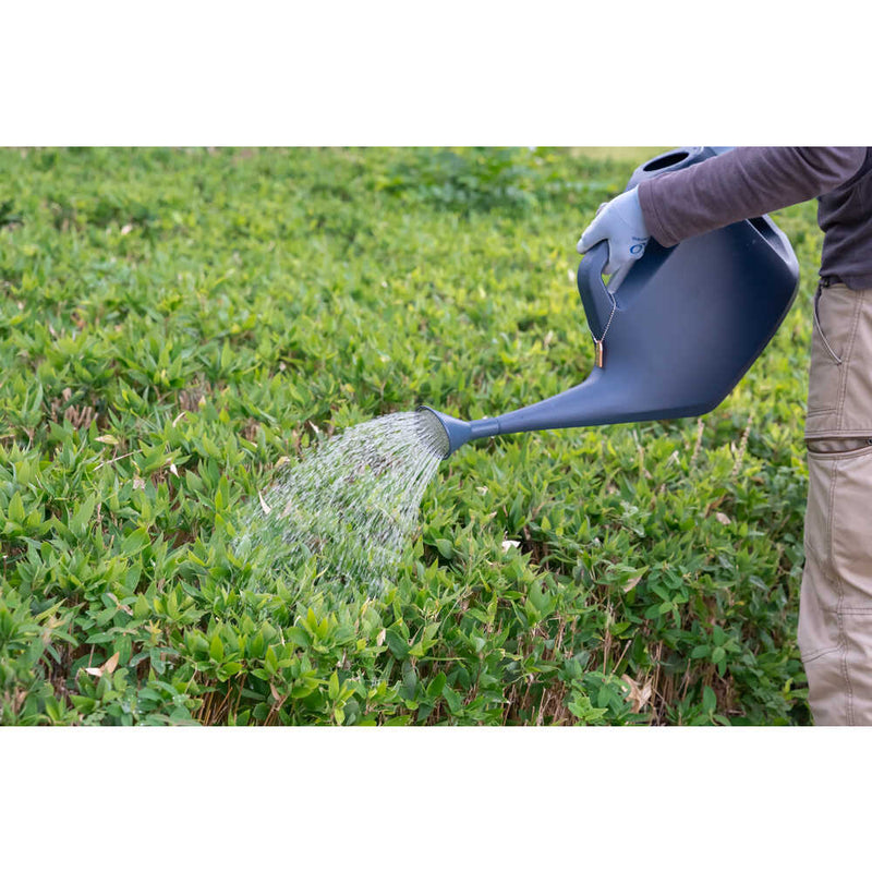 290708 Chispa ジョーロ 10L ネイビーブルー メーカー直送 ▼返品・キャンセル不可【他商品との同時購入不可】