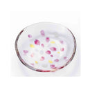 アデリア TEBINERI HARUIRO 豆皿 1個