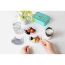 アデリア coconeco グラス 親猫 サバトラ  1個