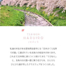 アデリア TEBINERI HARUIRO 泡づくりジョッキ 9549 1個