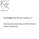 アデリア プレミアム桜酒グラスペアセット 100ml×2個