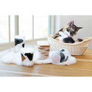 アデリア coconeco グラス 親子セット ブチ 230ml×1個、300ml×1個