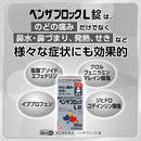 【指定第2類医薬品】アリナミン製薬 ベンザブロックL錠 ３０錠【セルフメディケーション税制対象】