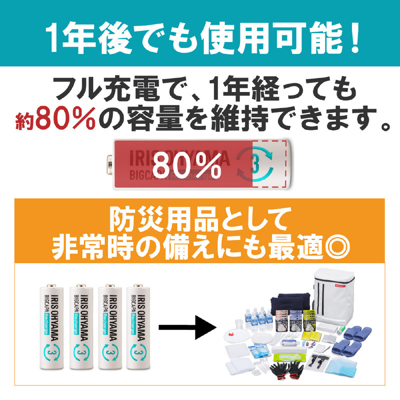 アイリスオーヤマ ビックキャパ リチャージ 急速充電器セット 単3形4個付-BCR-SQC3MH/4S