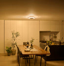 アイリスオーヤマLEDシーリングライト パネルライト 12畳