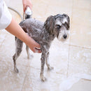 アイリスオーヤマ トリートメントインシャンプー ボタニカルソープの香り P-TS400