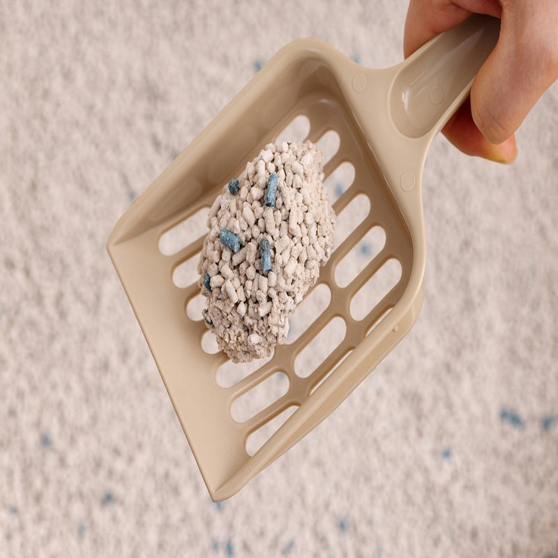 アイリスオーヤマ クリーンサンド ハミングシトラスの香り 5L