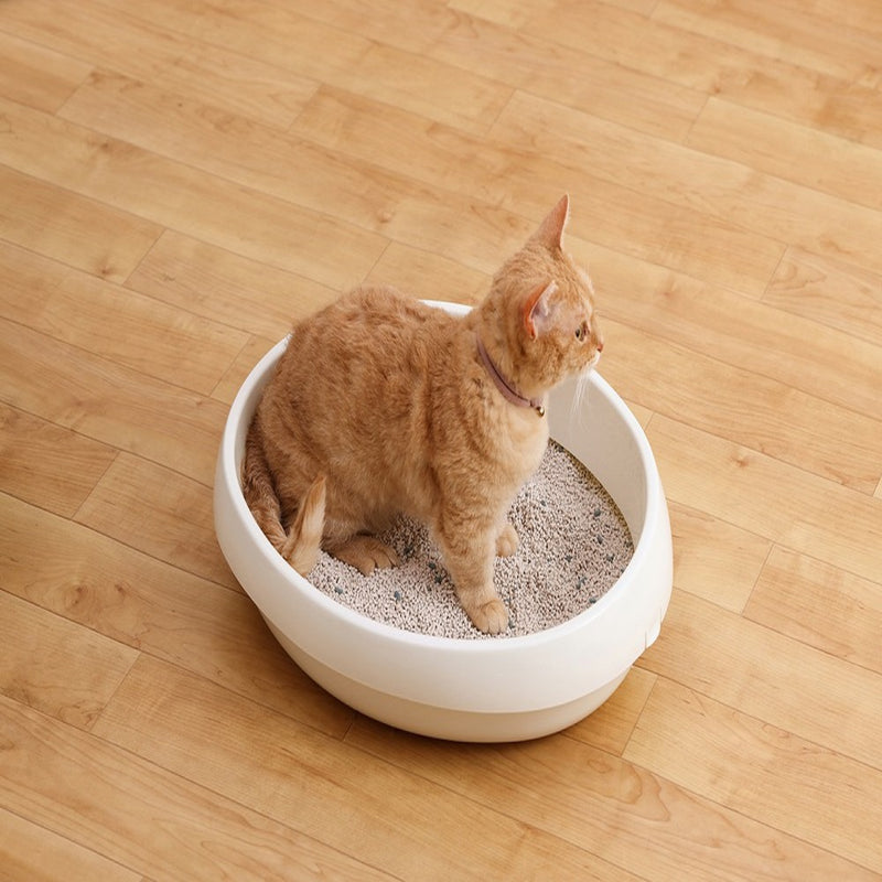 アイリスオーヤマ クリーンサンド ボタニカルソープの香り 5L