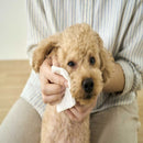 アイリスオーヤマ ペット用 トイレに流せる ウェットティッシュ 72枚入×2個パック