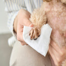 アイリスオーヤマ ペット用 トイレに流せる ウェットティッシュ 72枚入×2個パック