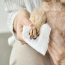 アイリスオーヤマ ペット用 トイレに流せる ウェットティッシュ 72枚入×2個パック