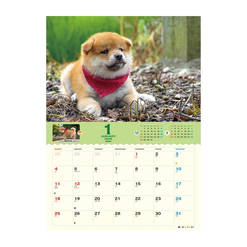 トライエックス コロコロマメシバ 2026年 カレンダー▼返品不可