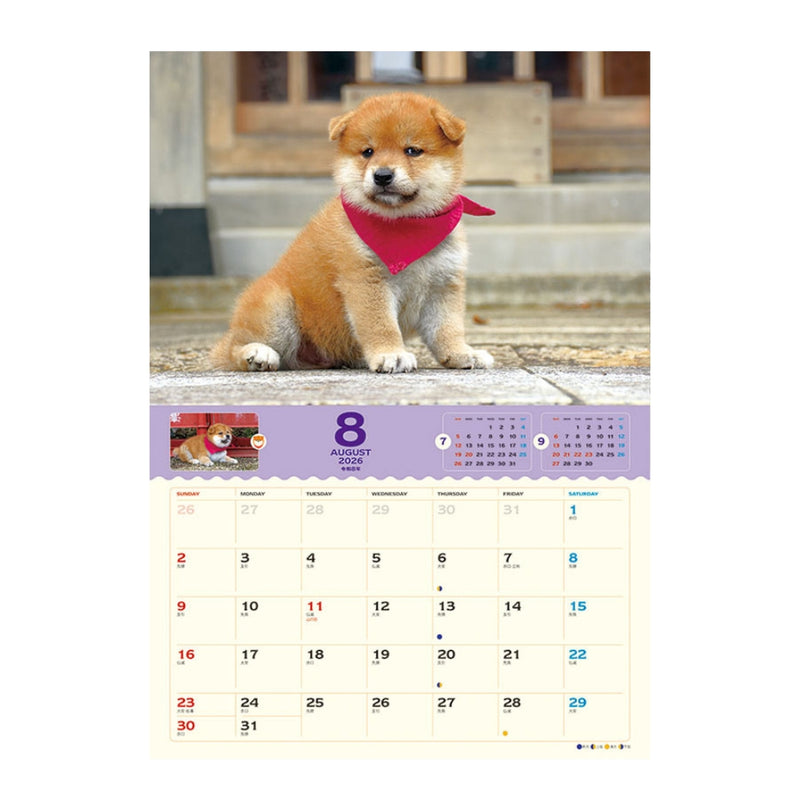 トライエックス コロコロマメシバ 2026年 カレンダー▼返品不可