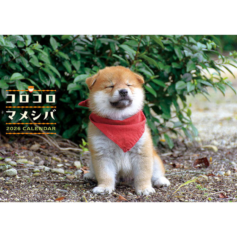 トライエックス コロコロマメシバ 2026年 カレンダー▼返品不可