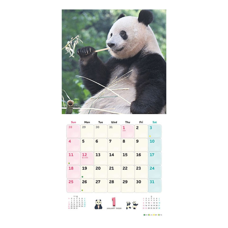 トライエックス シャンシャン・シャオシャオ・レイレイ 2026年 カレンダー▼返品不可