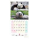 トライエックス シャンシャン・シャオシャオ・レイレイ 2026年 カレンダー▼返品不可