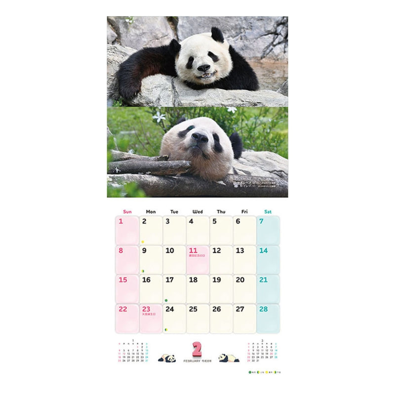 トライエックス シャンシャン・シャオシャオ・レイレイ 2026年 カレンダー▼返品不可