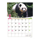 トライエックス ジャンボ「シャンシャン」スケジュール 2026年 カレンダー▼返品不可