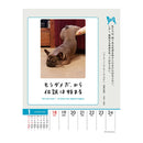 トライエックス 人生はワンチャンス！ 卓上／壁掛 2026年 カレンダー▼返品不可