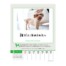 トライエックス 人生はワンチャンス！ 卓上／壁掛 2026年 カレンダー▼返品不可