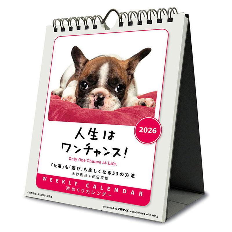 トライエックス 人生はワンチャンス！ 卓上／壁掛 2026年 カレンダー▼返品不可