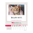 トライエックス 人生はニャンとかなる！ 卓上／壁掛 2026年 カレンダー▼返品不可