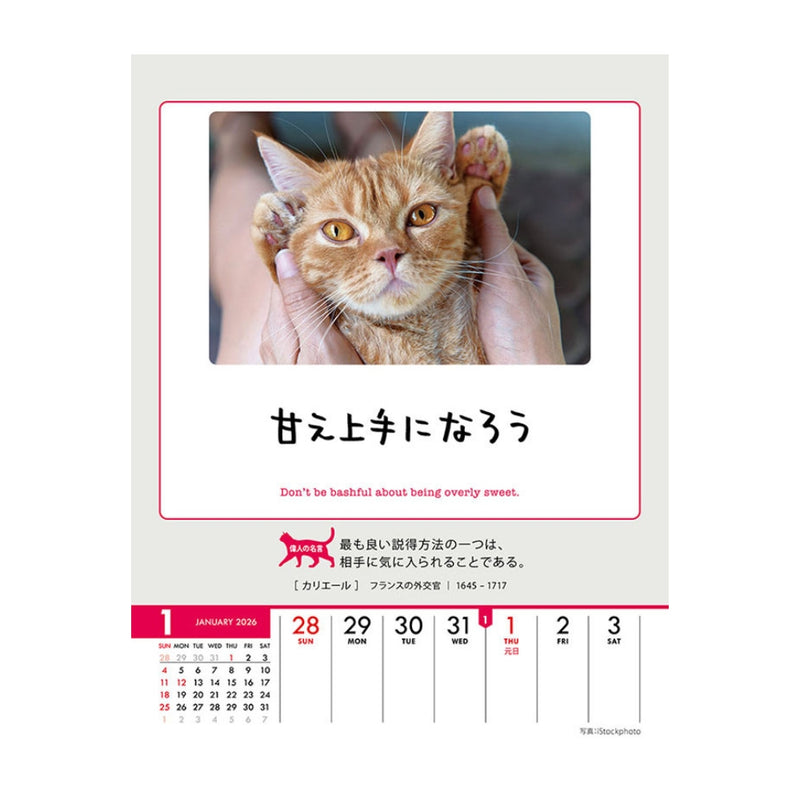 トライエックス 人生はニャンとかなる！ 卓上／壁掛 2026年 カレンダー▼返品不可