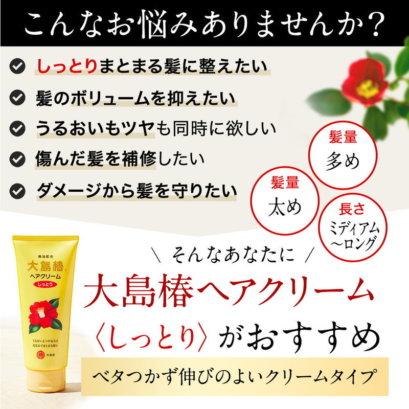 Oshima Tsubaki Hair Cream Moist 160g