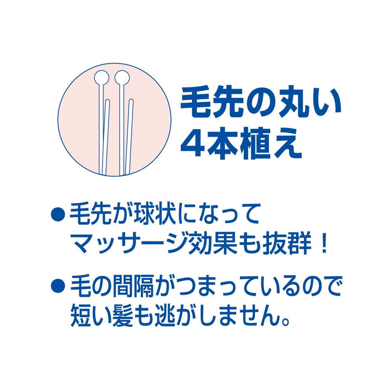 池本 セデュウス ブラッシングブラシ Sサイズ レッド SEN-455R 1本