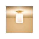 オーム電機 LEDミニシーリングライト 電球色