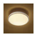 オーム電機 LED薄形ミニシーリングライト 100形 電球色