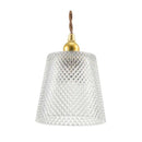 オーム電機 ペンダントライト ガラスセード タイプB