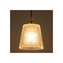 オーム電機 ペンダントライト ガラスセード タイプB