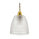 オーム電機 ペンダントライト ガラスセード タイプD