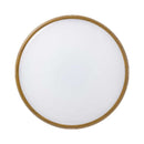 オーム電機 LEDミニシーリングライト 調光 60形 昼光色