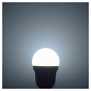 オーム電機 LED電球小形 40形昼光色 2個入