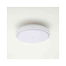 オーム電機 センサー付 LED内玄関灯 昼光色