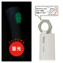 オーム電機 V電池付LEDライト LHP-2211C7