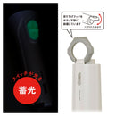 オーム電機 LED懐中ライト 110ルーメン