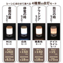 オーム電機 LEDミニランタン 260ルーメン