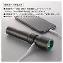 オーム電機 充電式LEDライト 480ルーメン