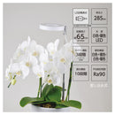 オーム電機 育成ライト 差し込み式