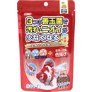 イトスイ 金魚の主食 納豆菌色揚げ 中粒 90g