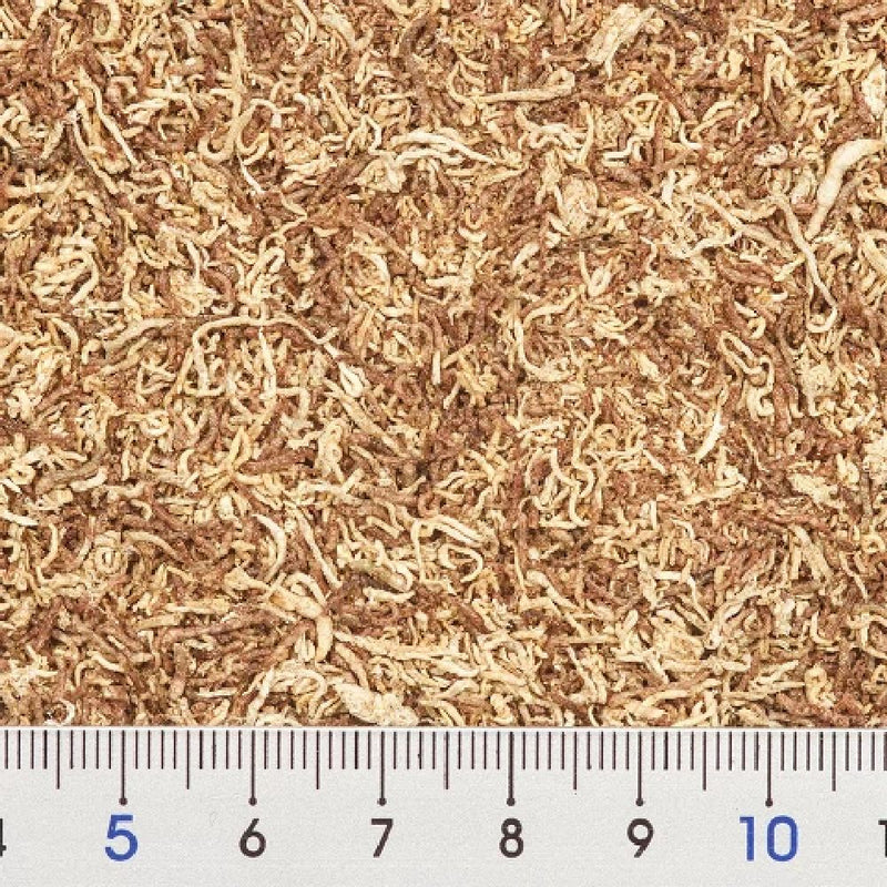 イトスイ 赤虫・糸ミミズミックスフード納豆菌 15g