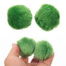 イトスイ マリモブラザーズコケ抑制 2個