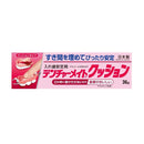 [Managed Medical Equipment] Kyowa Denture Mate Cushion 36g