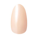 コーセー ネイルホリック つめ用ファンデ＋ BE023F 5ml