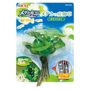 ジェックス メダカの産卵草 ホテイアオイ